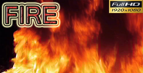 Intense Flames Dancing Against Black Background