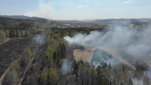 Aerial View of Big Smoke Clouds and Fire on the Forest. Flying Over Wildfire and Plumes of Smoke.
