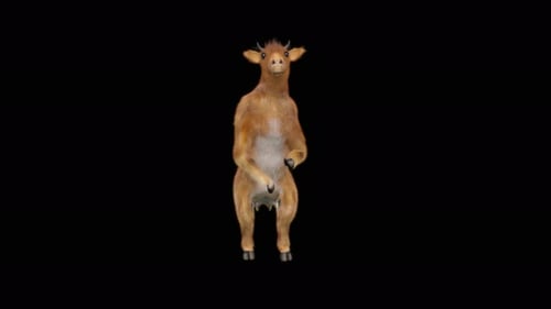 3D Animated Goat Character Dancing and Spinning