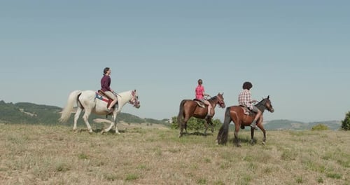 Vier aktive Menschen reiten Pferde auf einem sonnigen wild-grünen Outdoor-Feld.Side Follow Wide Shot