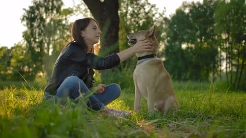 Woman and Dog Cuddle in the Green Park