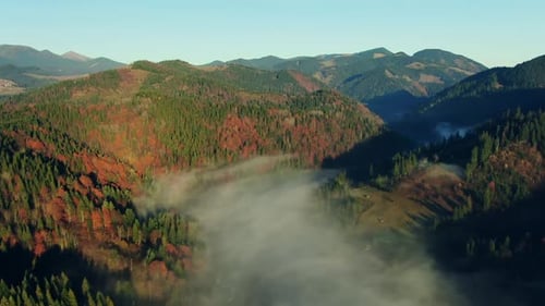 Magical Carpathian Mountains with Fog at the Foot of the Mountains at Sunrise