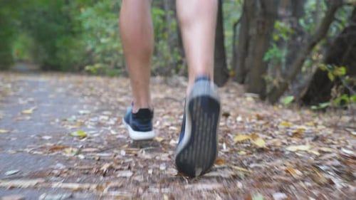 Rear View Legs of Sporty Man Jogging Along Path in Early Autumn Forest