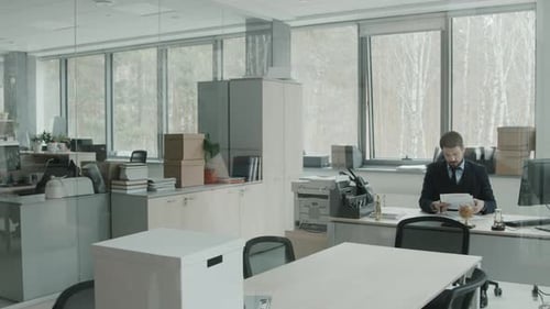 Male Lawyer Working with Papers in Office