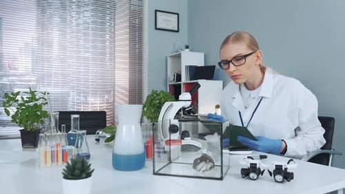Scientist Observing Hamster in Laboratory and Taking Notes