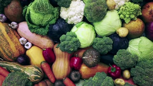 Assortment of Fresh Vegetables
