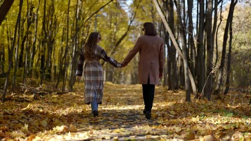 Romantischer Spaziergang im Herbstwald Mann und Frau halten sich an den Händen Rückansicht