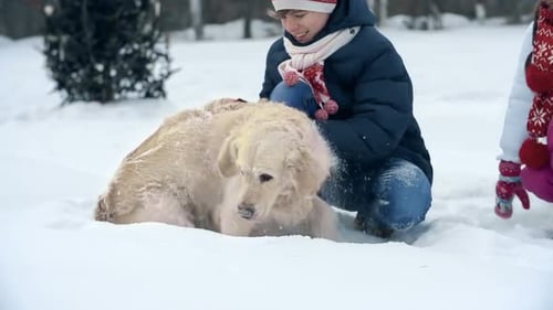 Children Play With Dog in Winter Snow