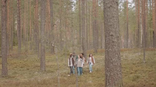 Group of People Hiking in Summer Forest
