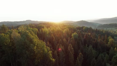 Aerial View of a Summer Mountain Landscape with Rocky Peaks on the Background