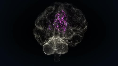 Colorful binary digits representing biochemical processes in the human brain.