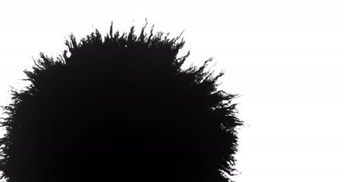 Purga de tinta