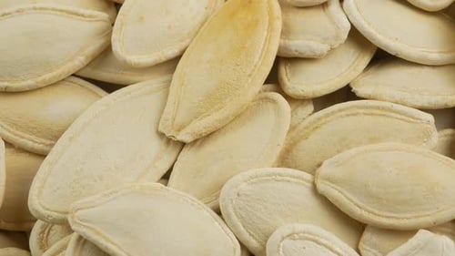 Pumpkin seeds close up