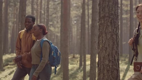 Diverse Friends Hiking in Forest