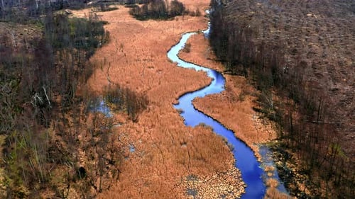 Flying above small blue river and swamps, Poland