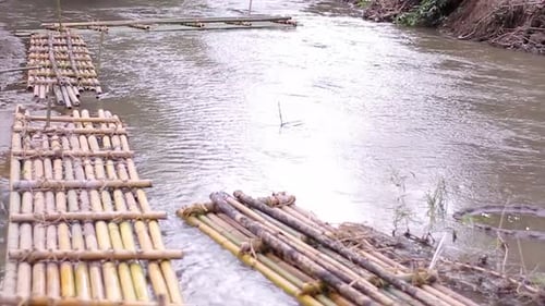 Tropical River.