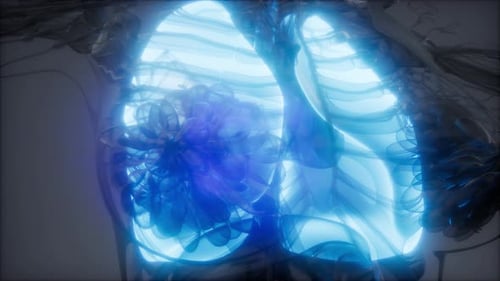 Futuristic Medical Scan of Human Thorax and Internal Organs