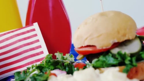 Hamburger Meal Patriotic Plate for 4th of July