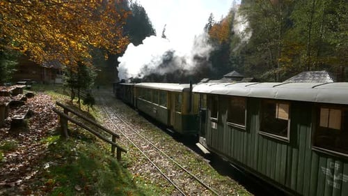 Steam train standing in station
