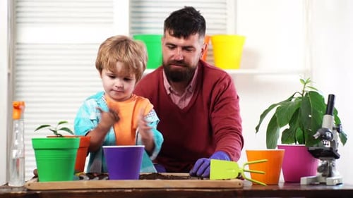 Man Family Planting, Father and Son Plantig Plant in Pots. Education and Play in Kindergarten.