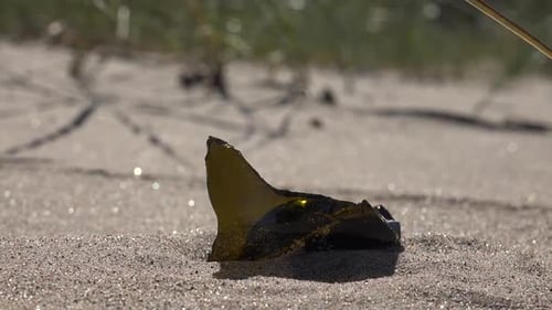 Verschmutzung des Strandes