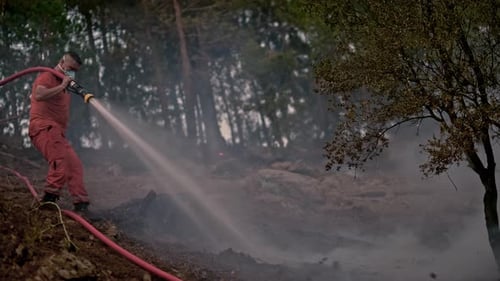 Firefighter Sprays Water on a Forest Fire