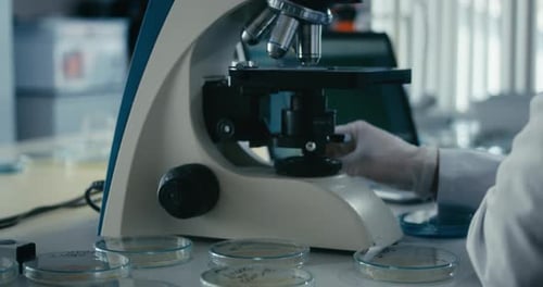 Medical Research Scientist Adjusting Microscope in Lab