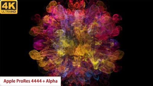 Vibrant Fluid Color Smoke Burst Reveal
