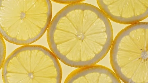 Backlit Lemon Slices Displaying Vibrant Citrus Texture