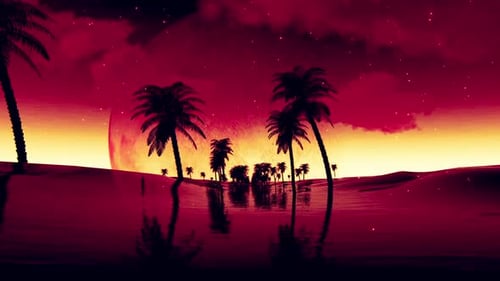 Vorbei an der Silhouette-Palme zur roten Sonne