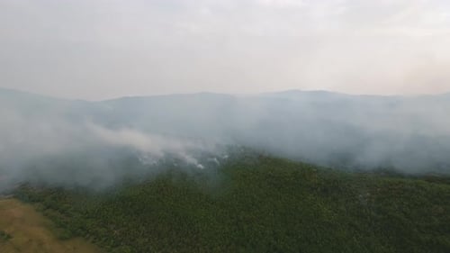 Mountain Forest Fire