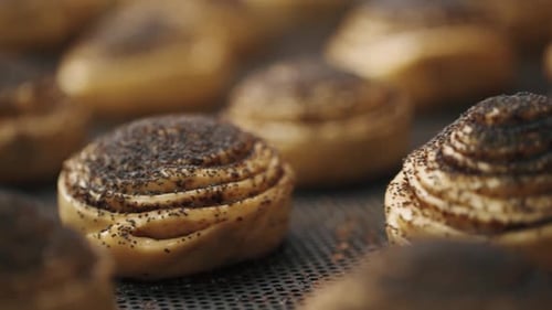 Close Up of Poppy Seed Buns