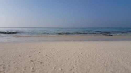 Aerial drone shot nature of tranquil lagoon beach wildlife by blue ocean and clean sandy background