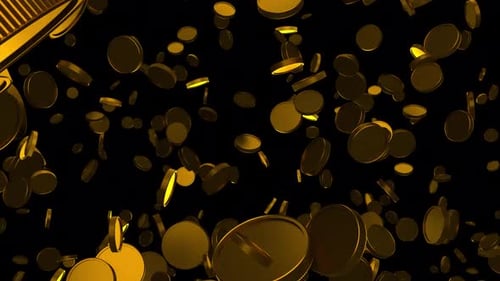 Gold Coin