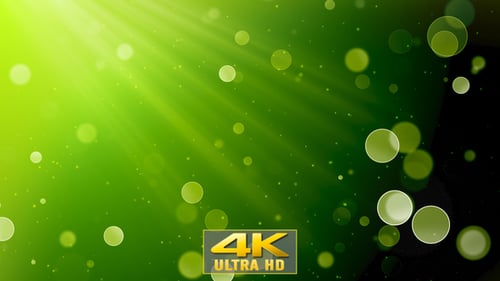Abstract Green Background with Floating Bokeh and Light Rays Loop