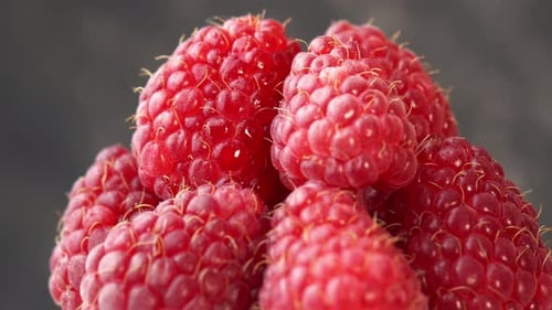 Raspberries Spinning on a Plate on Black Background for a Restaurant Juicy Raspberries for