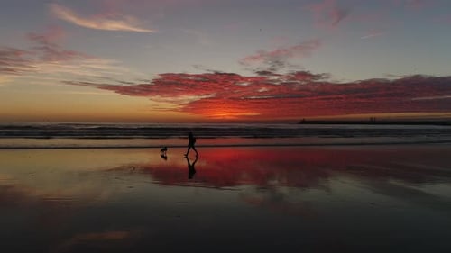 Girl with Dog on The Beach Enjoying Beautiful Sea Sunset