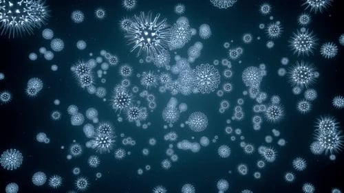 Pathogen Outbreak of Bacterium and Virus