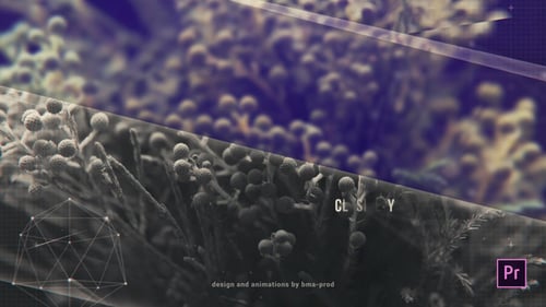 Dynamic Multi-Purpose Slideshow Opener with Modern Transitions