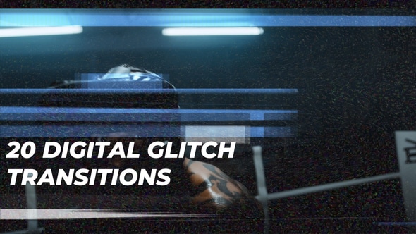 Cover for DIgital Glitch Transitions