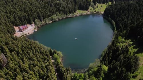 Lago entre bosques de pinos