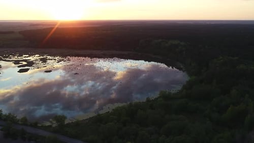 Beautiful Sunset Above Wild Swamp and Forest