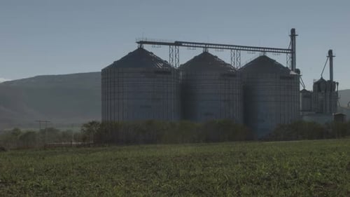 037 Agro Diverso