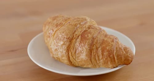 Delicious Golden Croissant on a White Plate