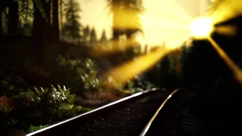 Golden Sunlight on Forest Railway Tracks for Travel Videos