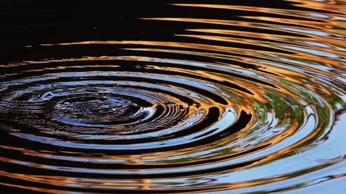 Water Drops And Waves On Lake Water 7