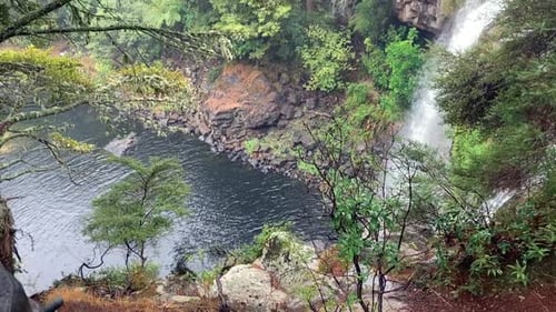 Waterfall in a forest in New Zealand