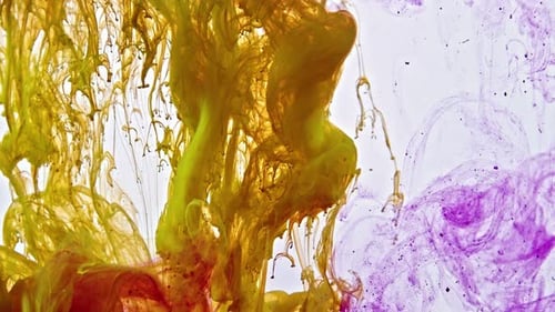 Colorful Ink Swirls and Plumes in Water