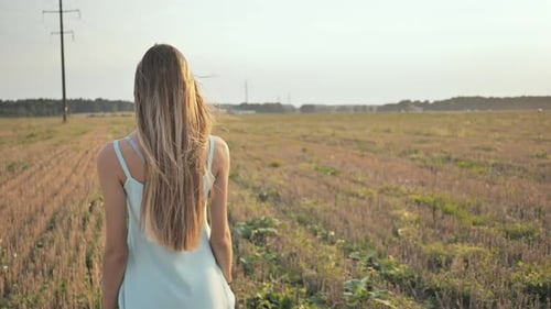 A Young Girl with Long Hair Walks the Field Barefoot in a Blue Dress in the Evening