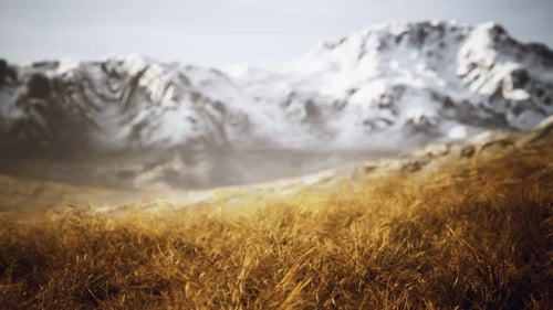 Dry Grass and Snow Covered Mountains in Alaska